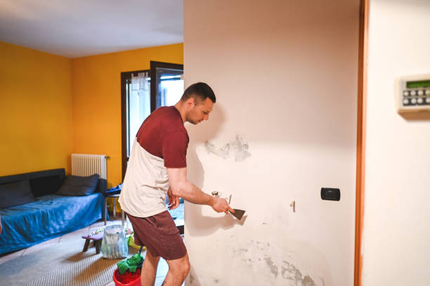 Best Mold Remediation Services  in Buhl, ID